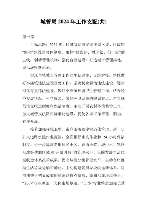 城管局2024年工作安排(共)