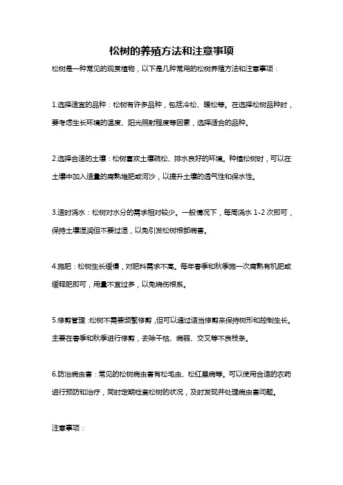 松树的养殖方法和注意事项