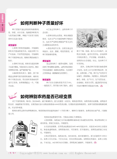 如何判断种子质量好坏