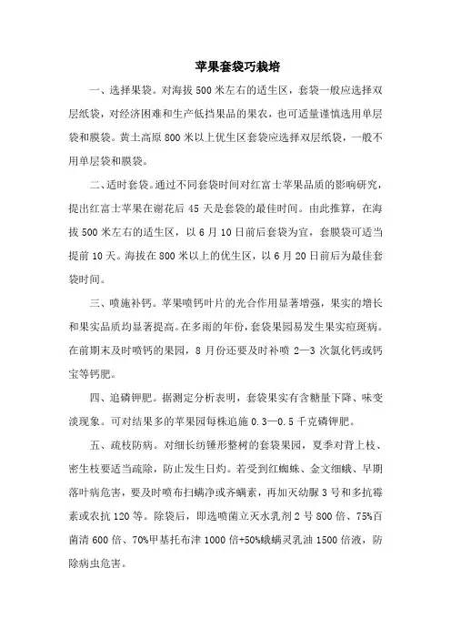 苹果套袋巧栽培