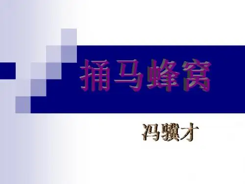 2.捅马蜂窝