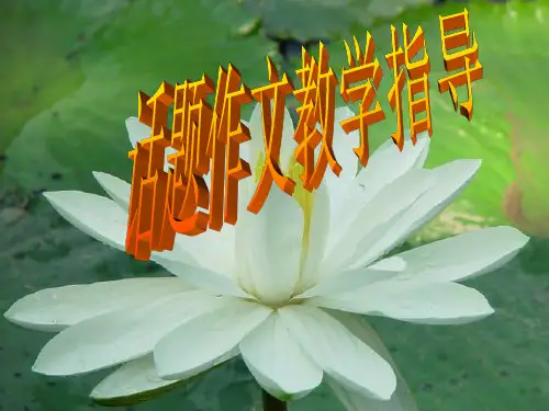 高考话题作文指导ppt