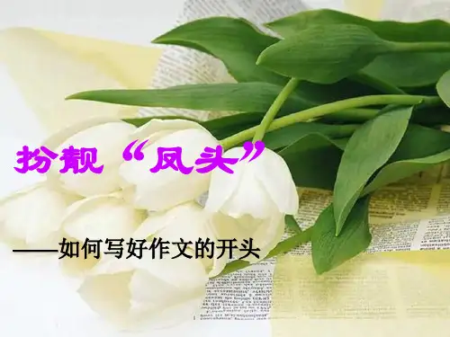 如何写好作文的开头结尾ppt课件.1ppt