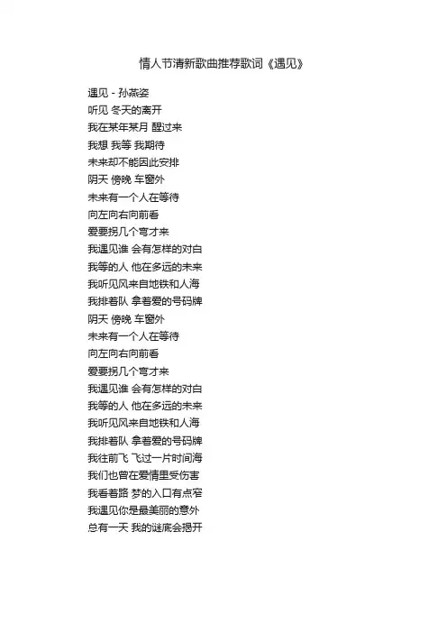 情人节清新歌曲推荐歌词《遇见》