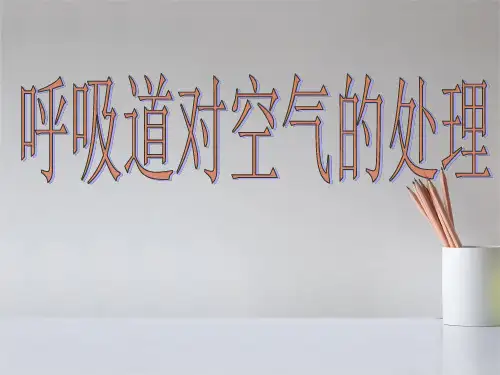 新人教版七年级生物下册人体的呼吸课件 (2)