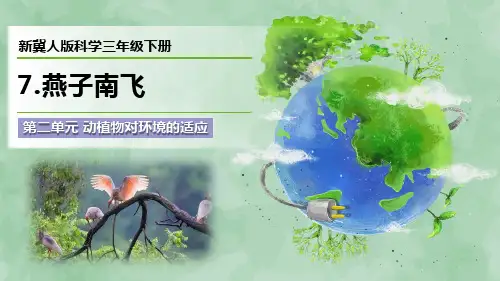 新冀人版科学三年级下册第二单元 动植物对环境的适应《燕子南飞》优质课件