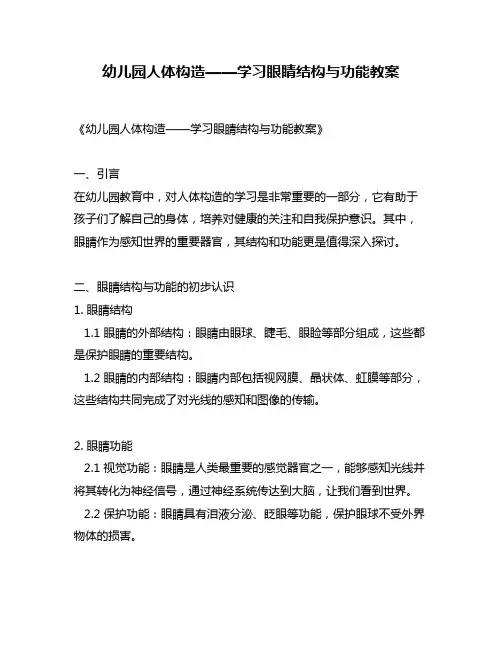 幼儿园人体构造——学习眼睛结构与功能教案