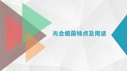 2.光合细菌特点及用途