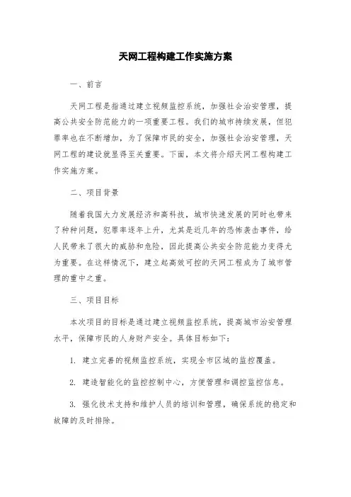 天网工程构建工作实施方案