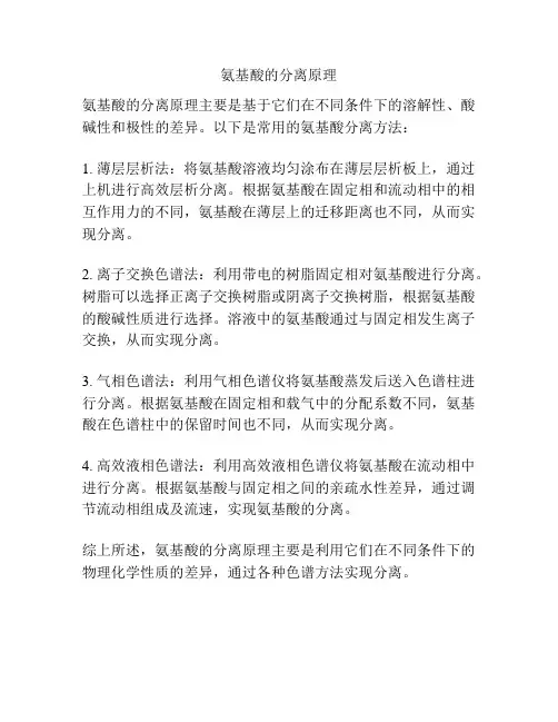 氨基酸的分离原理