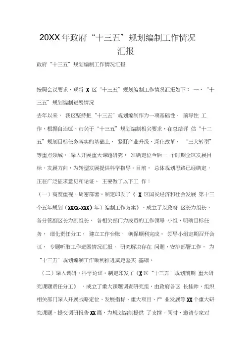 2019年政府十三五规划编制工作情况汇报