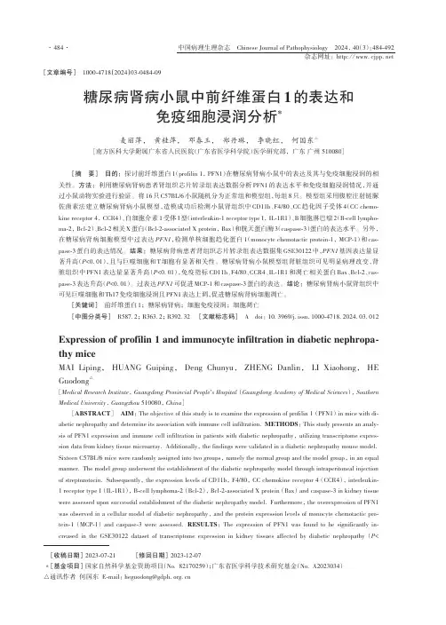 糖尿病肾病小鼠中前纤维蛋白1的表达和免疫细胞浸润分析