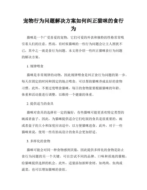 宠物行为问题解决方案如何纠正猫咪的食行为