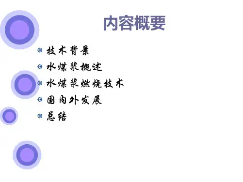 水煤浆燃烧技术