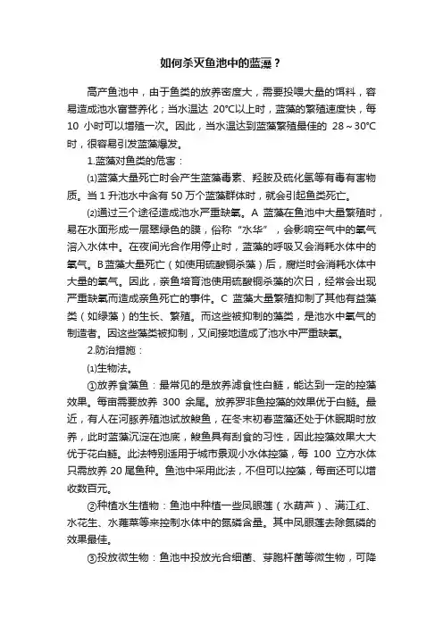 如何杀灭鱼池中的蓝藻？