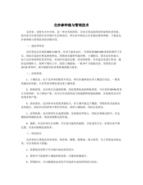 北沙参种植与管理技术