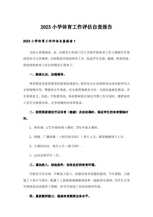 2023小学体育工作评估自查报告