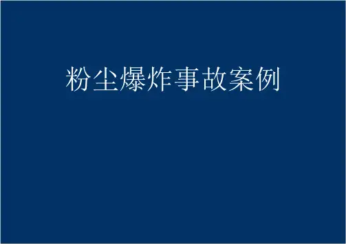 粉尘爆炸事故案例分析