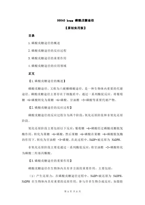 00040 kegg 磷酸戊糖途径