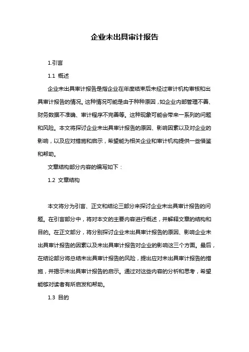 企业未出具审计报告