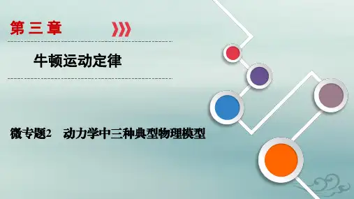 2021高考物理课标全国版一轮课件：微专题2 动力学中三种典型物理模型 