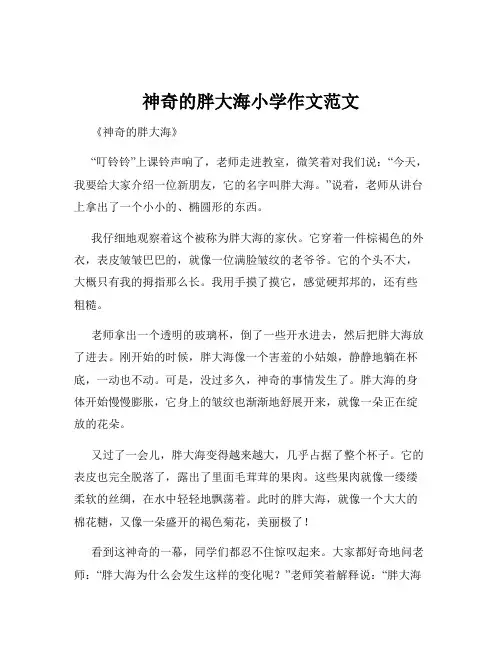 神奇的胖大海小学作文范文