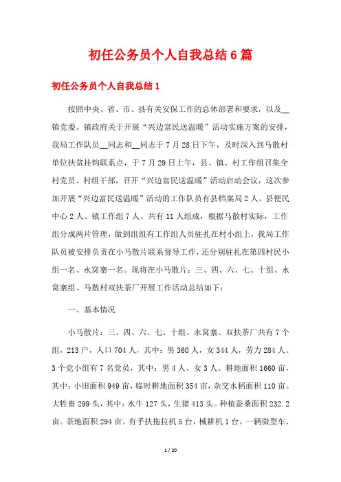 初任公务员个人自我总结6篇