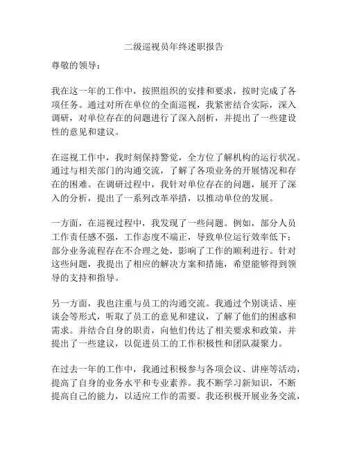 二级巡视员年终述职报告