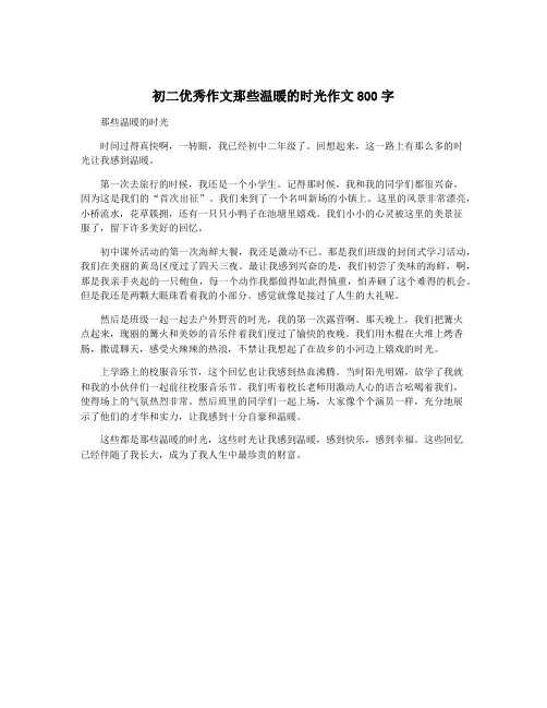 初二优秀作文那些温暖的时光作文800字