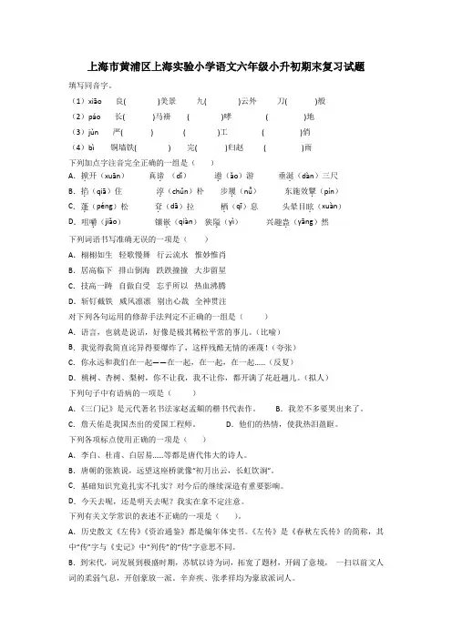 上海市黄浦区上海实验小学语文六年级小升初期末复习试题