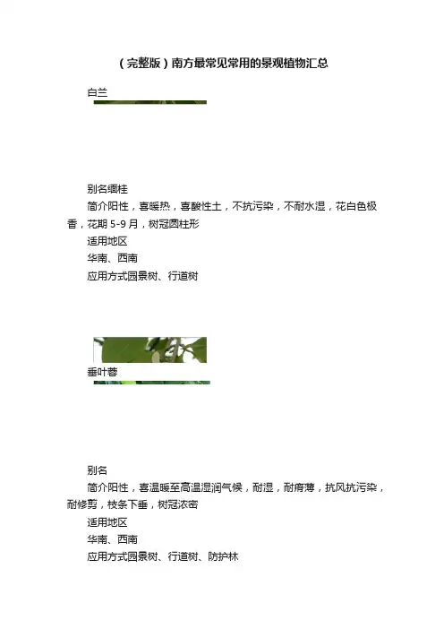 （完整版）南方最常见常用的景观植物汇总