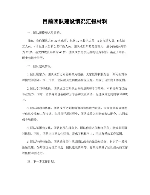 目前团队建设情况汇报材料