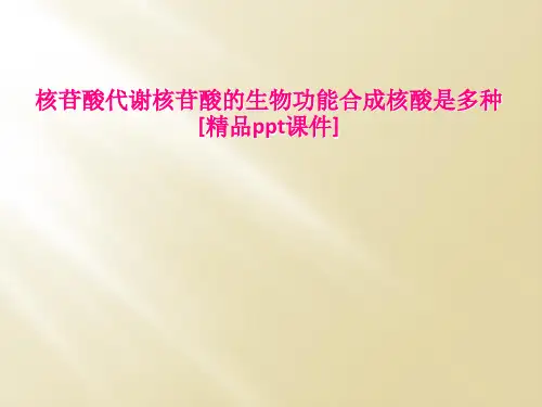 核苷酸代谢核苷酸的生物功能合成核酸是多种[精品ppt课件]