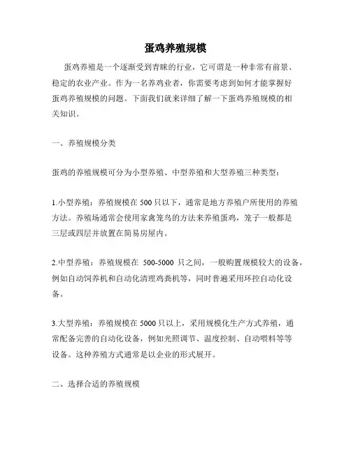 蛋鸡养殖规模