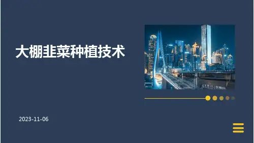 大棚韭菜怎么种大棚韭菜种植技术