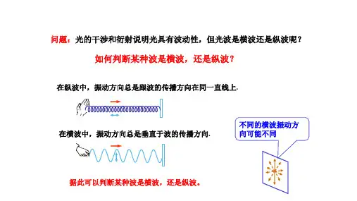 人教版高中物理选修3-413.6光的偏振课件