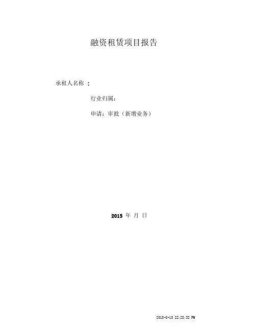 融资租赁项目报告