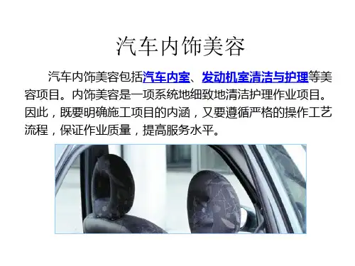 汽车内部清洗及消毒10