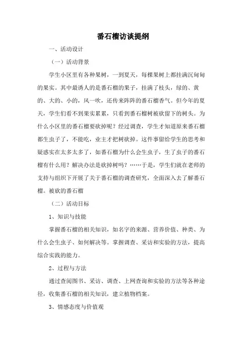 番石榴访谈提纲
