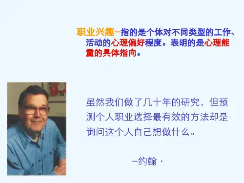 霍兰德兴趣岛