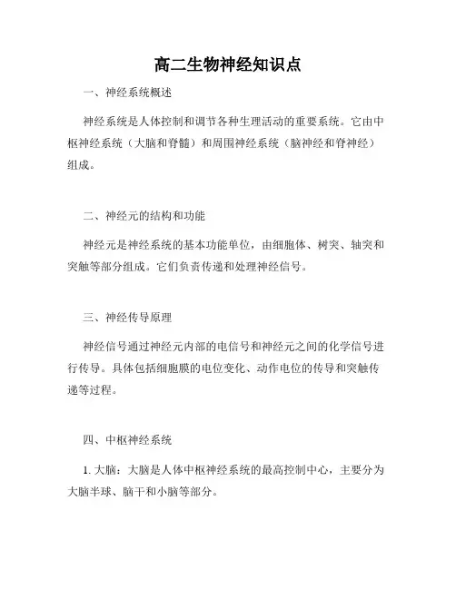 高二生物神经知识点