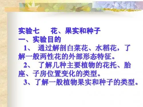 花、果实和种子