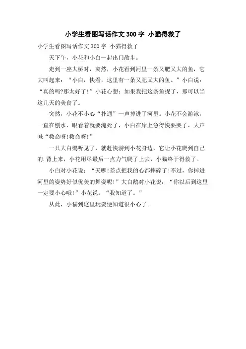 小学生看图写话作文300字 小猫得救了