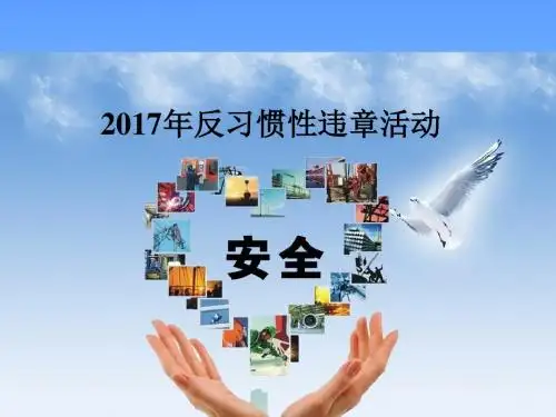 反违章管理课件2 - 副本