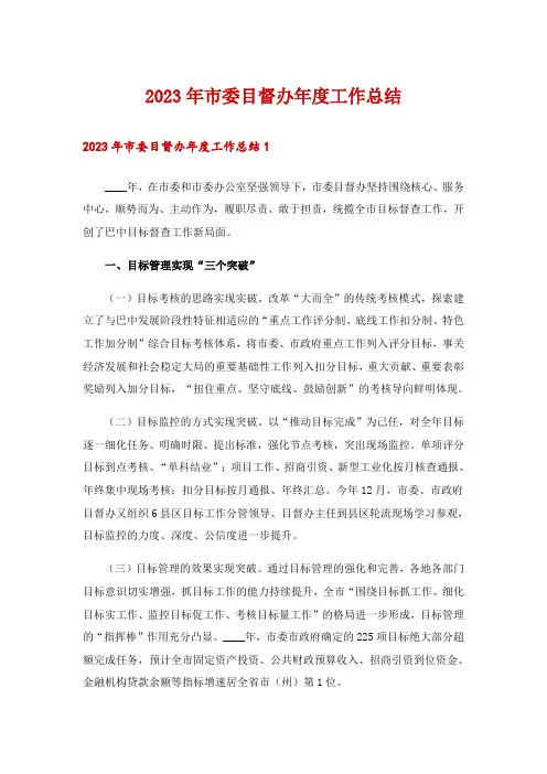 2023年市委目督办年度工作总结