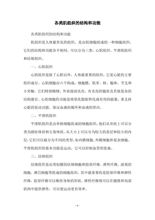 各类肌组织的结构和功能