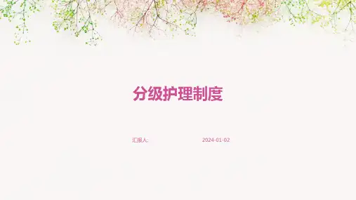 分级护理制度