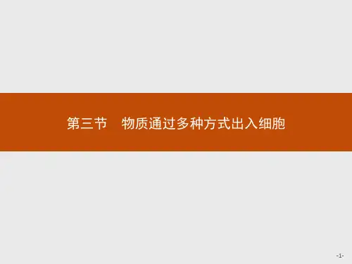 浙教版高中生物必修1 第三章 第三节 物质通过多种方式出入细胞