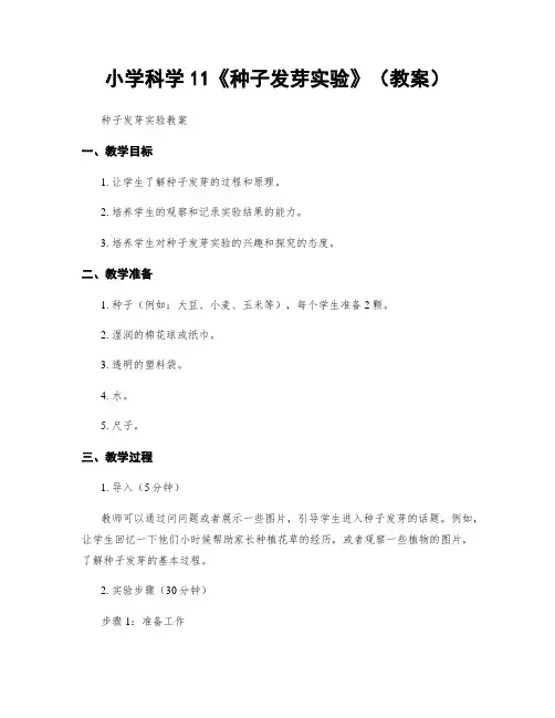 小学科学11《种子发芽实验》(教案)