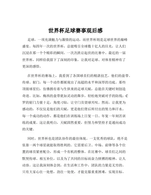 世界杯足球赛事观后感